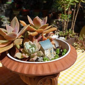 Meet your Posher, Alice